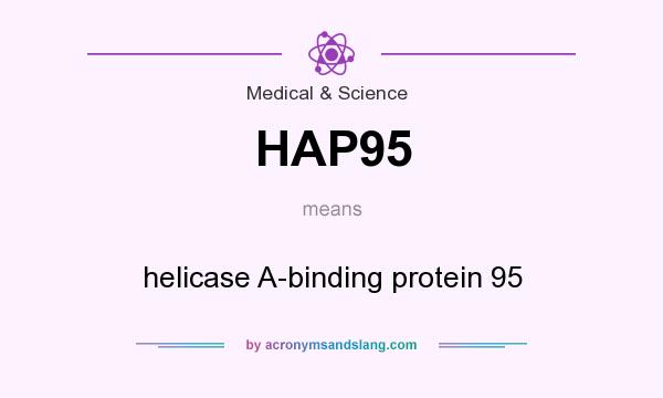 What does HAP95 mean? It stands for helicase A-binding protein 95