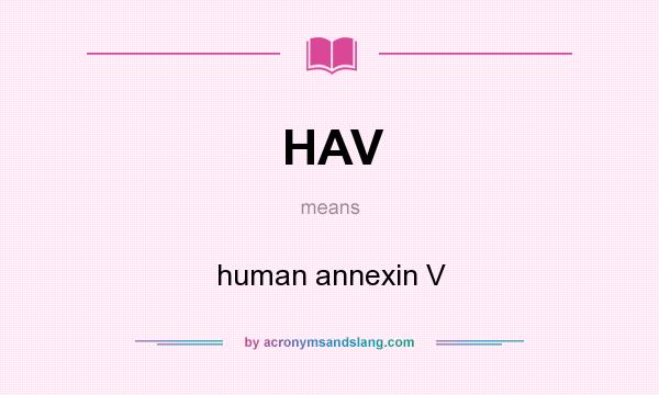 What does HAV mean? It stands for human annexin V