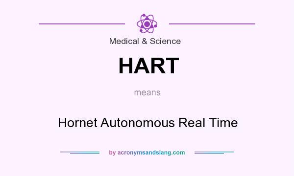What does HART mean? It stands for Hornet Autonomous Real Time
