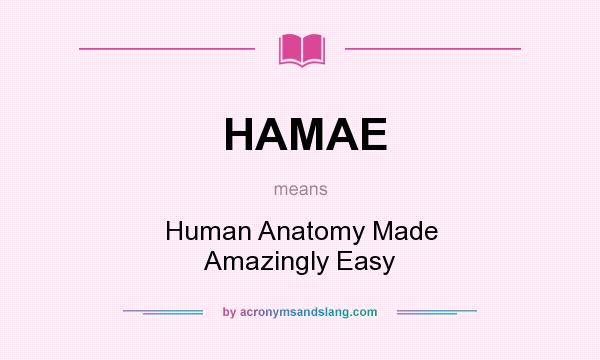 What does HAMAE mean? It stands for Human Anatomy Made Amazingly Easy