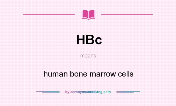 What does HBc mean? It stands for human bone marrow cells
