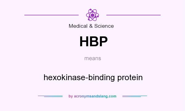 What does HBP mean? It stands for hexokinase-binding protein