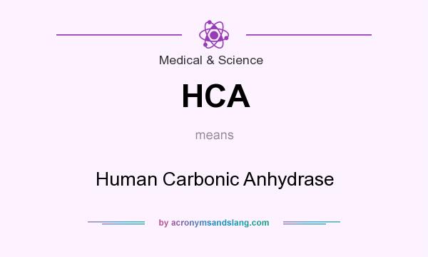 What does HCA mean? It stands for Human Carbonic Anhydrase