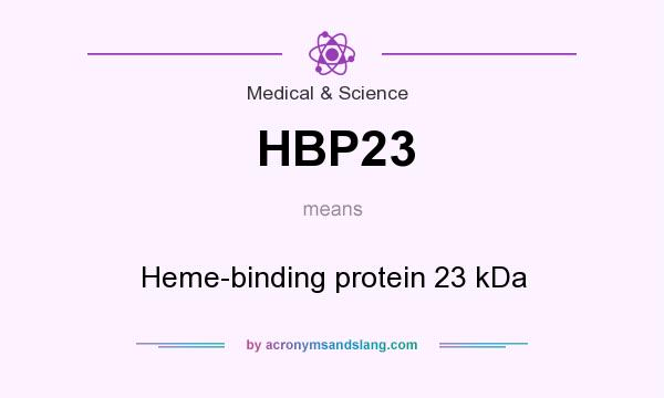 What does HBP23 mean? It stands for Heme-binding protein 23 kDa