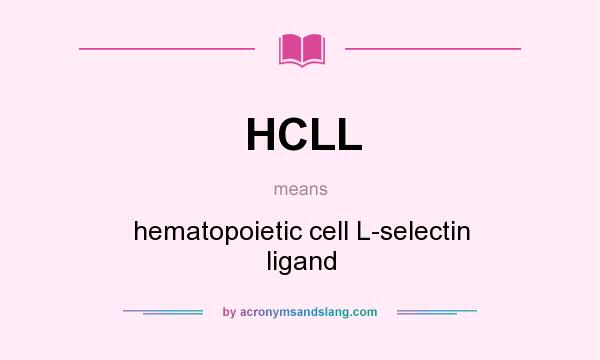What does HCLL mean? It stands for hematopoietic cell L-selectin ligand