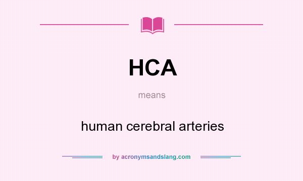 What does HCA mean? It stands for human cerebral arteries