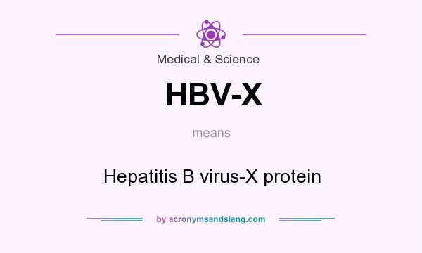What does HBV-X mean? It stands for Hepatitis B virus-X protein