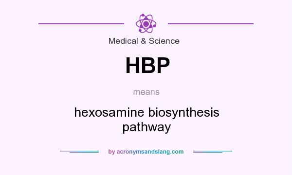What does HBP mean? It stands for hexosamine biosynthesis pathway