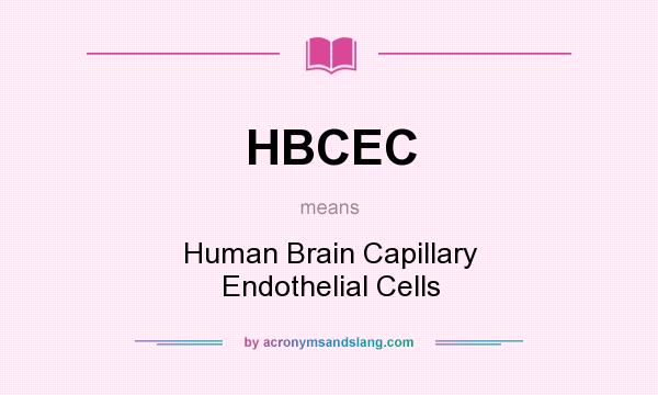 What does HBCEC mean? It stands for Human Brain Capillary Endothelial Cells