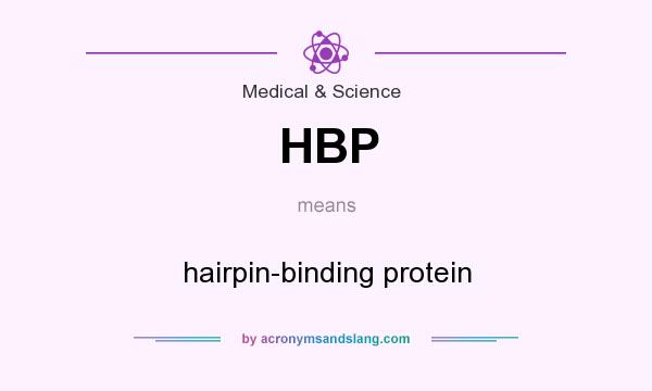 What does HBP mean? It stands for hairpin-binding protein