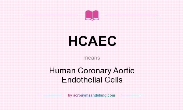 What does HCAEC mean? It stands for Human Coronary Aortic Endothelial Cells