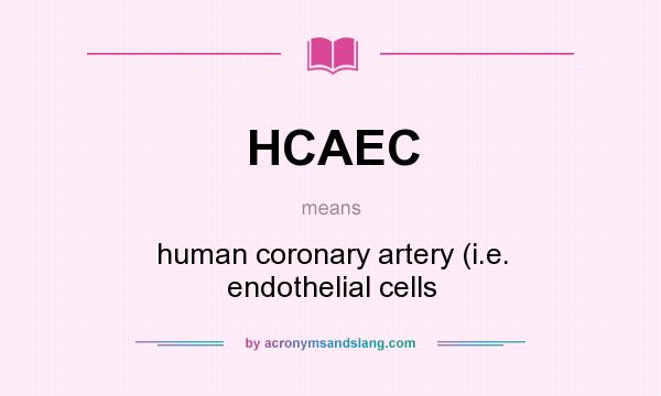 What does HCAEC mean? It stands for human coronary artery (i.e. endothelial cells