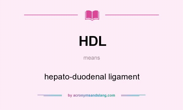 What does HDL mean? It stands for hepato-duodenal ligament