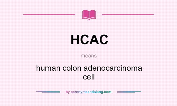 What does HCAC mean? It stands for human colon adenocarcinoma cell