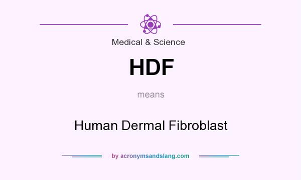 What does HDF mean? It stands for Human Dermal Fibroblast