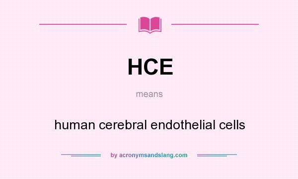 What does HCE mean? It stands for human cerebral endothelial cells