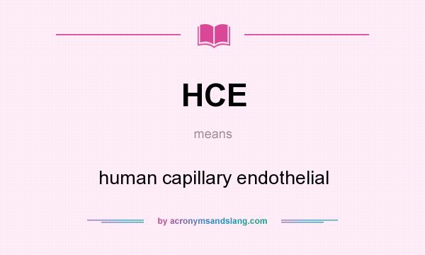 What does HCE mean? It stands for human capillary endothelial
