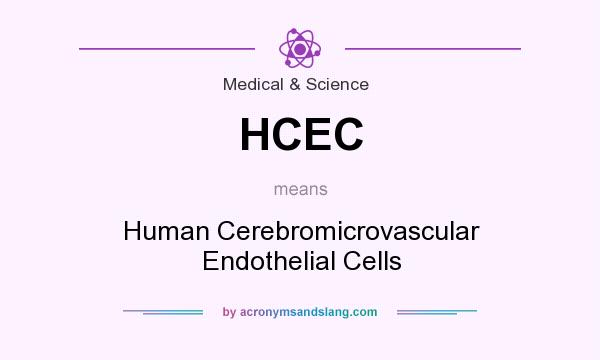 What does HCEC mean? It stands for Human Cerebromicrovascular Endothelial Cells