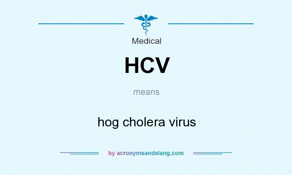 What does HCV mean? It stands for hog cholera virus
