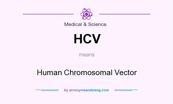 What does HCV mean? It stands for Human Chromosomal Vector