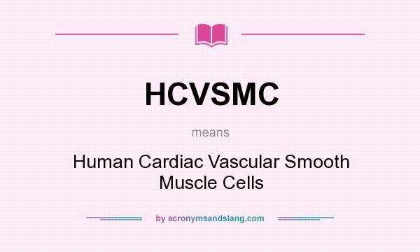 What does HCVSMC mean? It stands for Human Cardiac Vascular Smooth Muscle Cells
