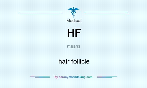 What does HF mean? It stands for hair follicle