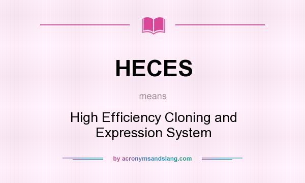 What does HECES mean? It stands for High Efficiency Cloning and Expression System