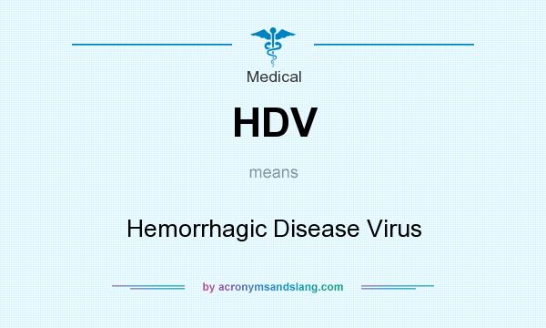 What does HDV mean? It stands for Hemorrhagic Disease Virus