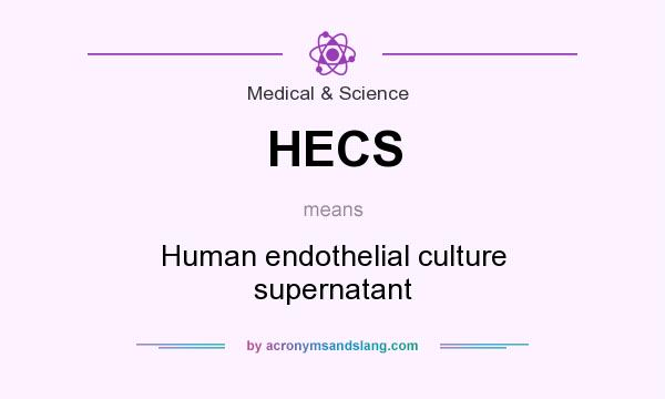 What does HECS mean? It stands for Human endothelial culture supernatant