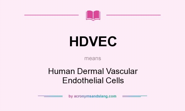 What does HDVEC mean? It stands for Human Dermal Vascular Endothelial Cells
