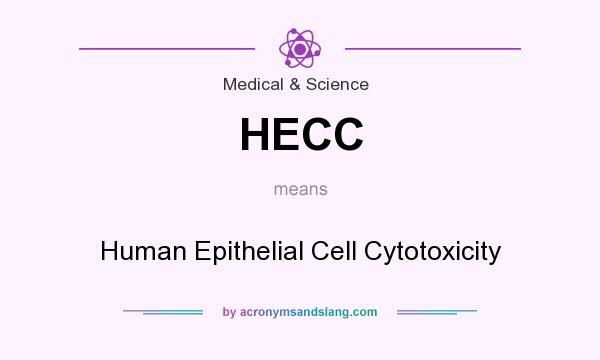 What does HECC mean? It stands for Human Epithelial Cell Cytotoxicity