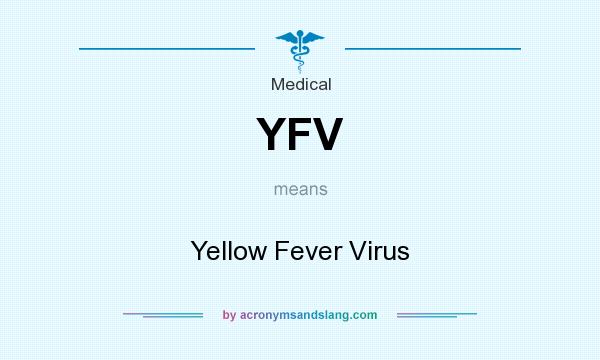 What does YFV mean? It stands for Yellow Fever Virus