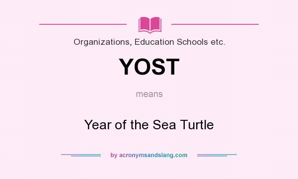 What does YOST mean? It stands for Year of the Sea Turtle