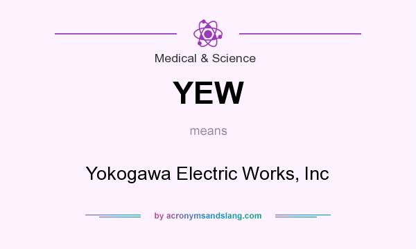 What does YEW mean? It stands for Yokogawa Electric Works, Inc