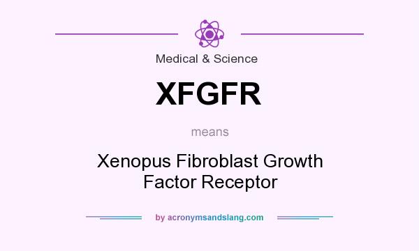 What does XFGFR mean? It stands for Xenopus Fibroblast Growth Factor Receptor
