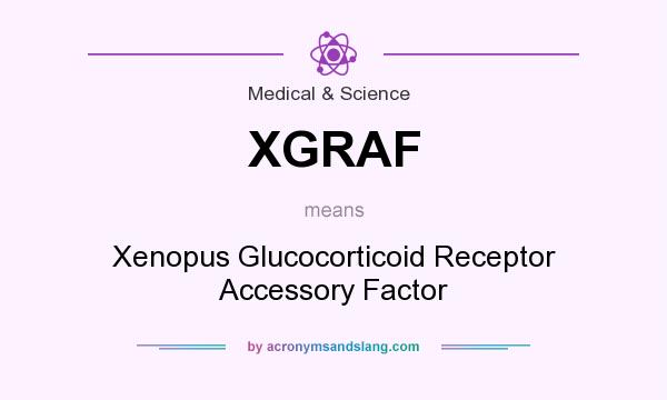 What does XGRAF mean? It stands for Xenopus Glucocorticoid Receptor Accessory Factor