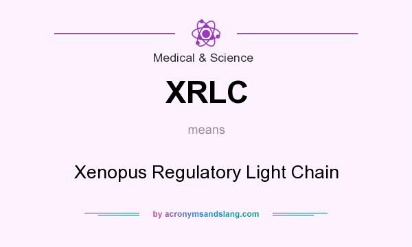 What does XRLC mean? It stands for Xenopus Regulatory Light Chain