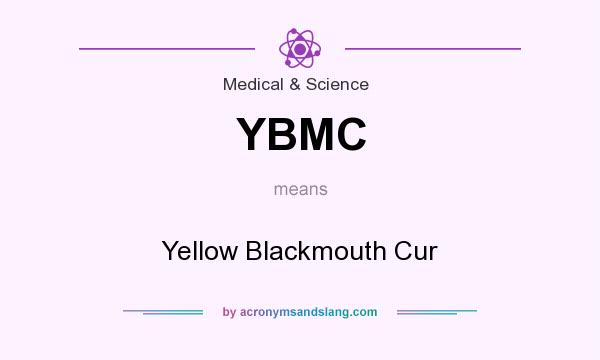 What does YBMC mean? It stands for Yellow Blackmouth Cur