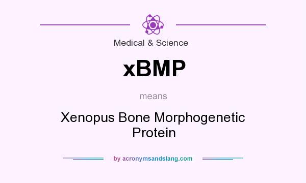 What does xBMP mean? It stands for Xenopus Bone Morphogenetic Protein