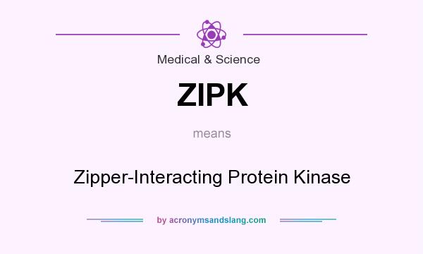What does ZIPK mean? It stands for Zipper-Interacting Protein Kinase