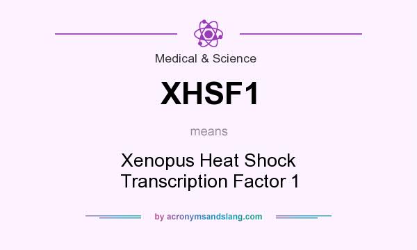 What does XHSF1 mean? It stands for Xenopus Heat Shock Transcription Factor 1
