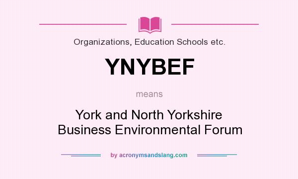 What does YNYBEF mean? It stands for York and North Yorkshire Business Environmental Forum