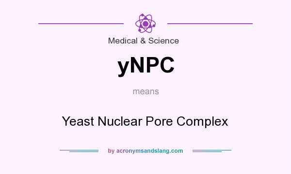 What does yNPC mean? It stands for Yeast Nuclear Pore Complex