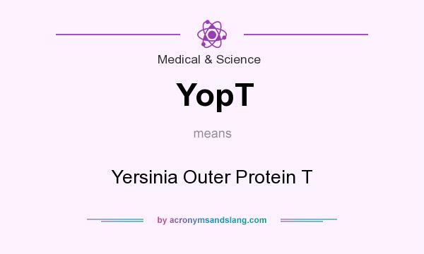 What does YopT mean? It stands for Yersinia Outer Protein T