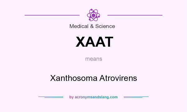 What does XAAT mean? It stands for Xanthosoma Atrovirens