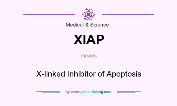 What does XIAP mean? It stands for X-linked Inhibitor of Apoptosis