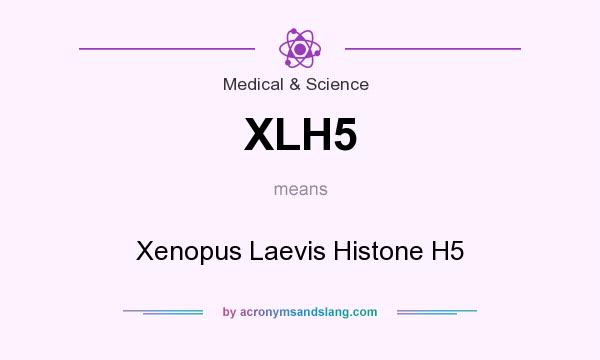 What does XLH5 mean? It stands for Xenopus Laevis Histone H5