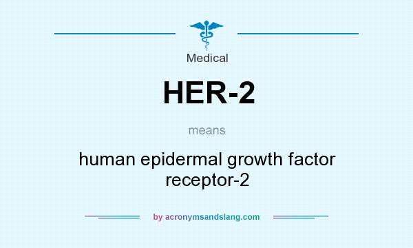 What does HER-2 mean? It stands for human epidermal growth factor receptor-2