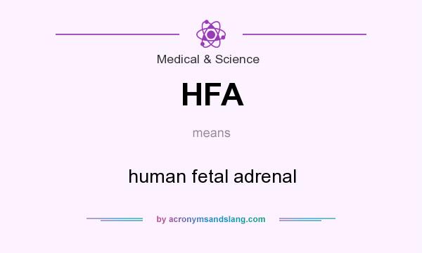 What does HFA mean? It stands for human fetal adrenal