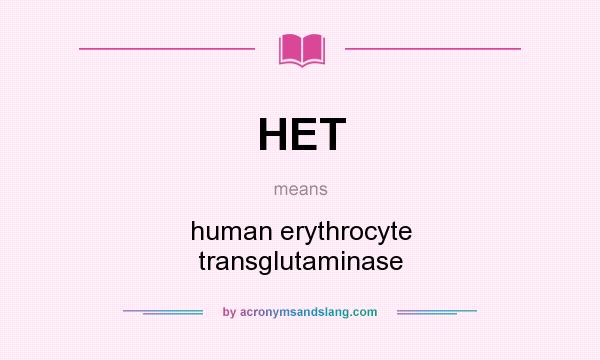 What does HET mean? It stands for human erythrocyte transglutaminase
